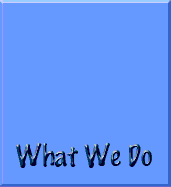 What we Do