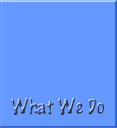 What we Do
