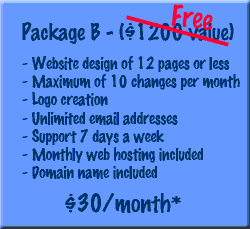 Package B - Regina Web Design